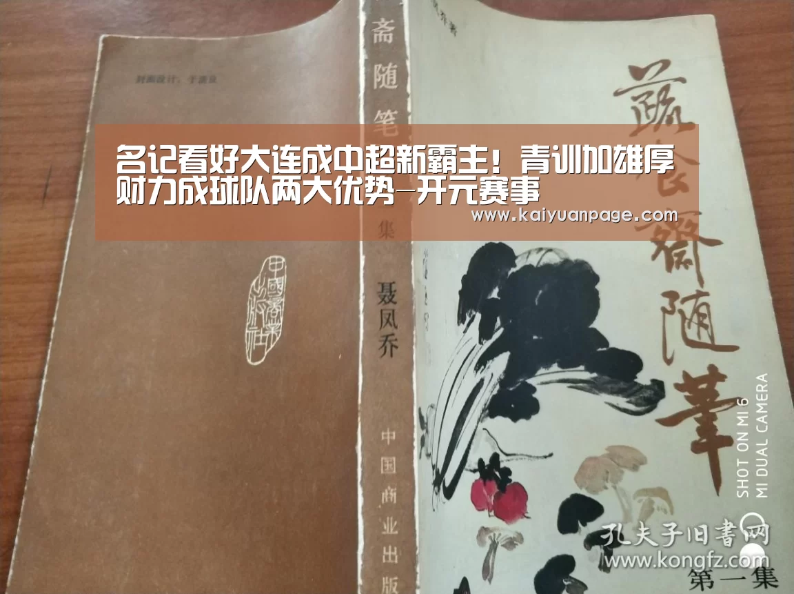 名记看好大连成中超新霸主!青训加雄厚财力成球队两大优势-开元赛事(图3) 开元品牌