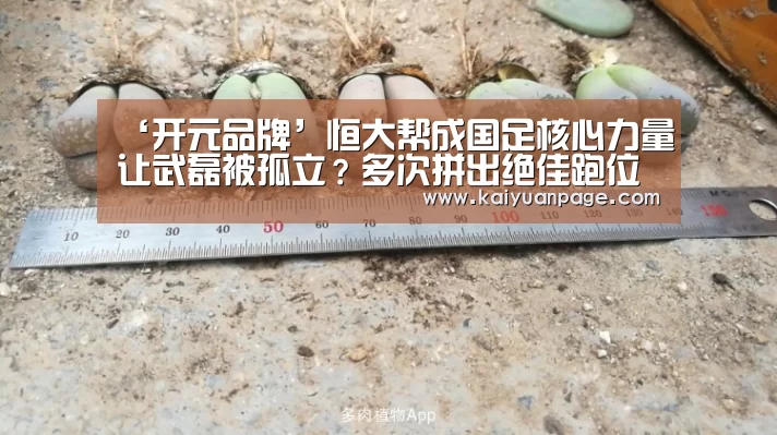 ‘开元品牌’恒大帮成国足核心力量让武磊被孤立?多次拼出绝佳跑位却无人传球(图1) 开元赛事